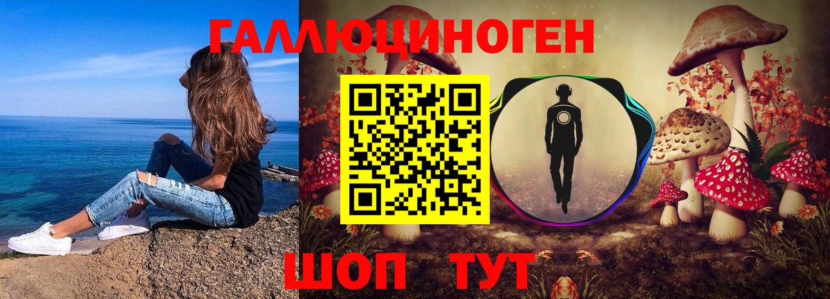 Людиново  Псилоцибиновые грибы мицелий  Вход с VPN 